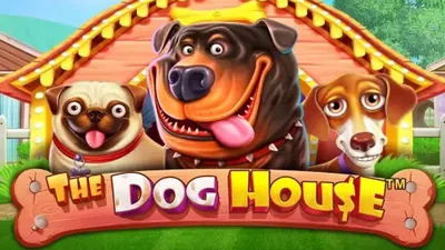 The Dog House